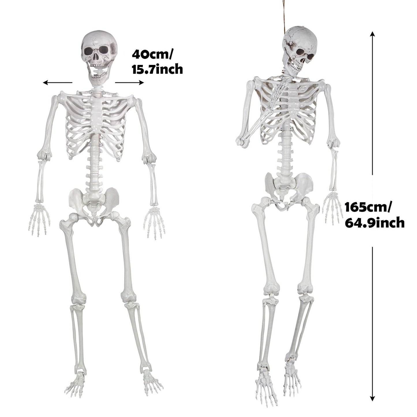 LaLamona 5.4ft Posable Halloween Skeleton, 2Pcs Life Size Skeleton Bones with Movable Joints for Halloween Graveyard Haunted House Spooky Scene Decor