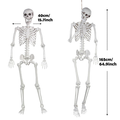 LaLamona 5.4ft Posable Halloween Skeleton, 2Pcs Life Size Skeleton Bones with Movable Joints for Halloween Graveyard Haunted House Spooky Scene Decor