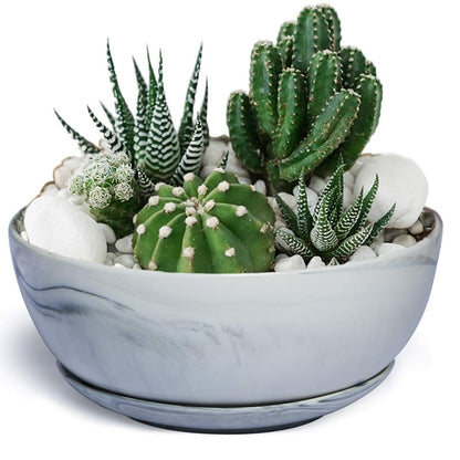 G EPGardening 10Inch Large Planter Marble Pattern Ceramic Succulent Planter Big Plant Pot Succulents Container Flower Pot Indoor Outdoor Decor (Plants Not Included)