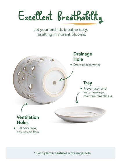 LE TAUCI Ceramic Orchid Pot, 6.5 Inch Orchid Planter with Holes for Repotting, Indoor Flower Plant Pot with Drainage and Saucer, Arctic White