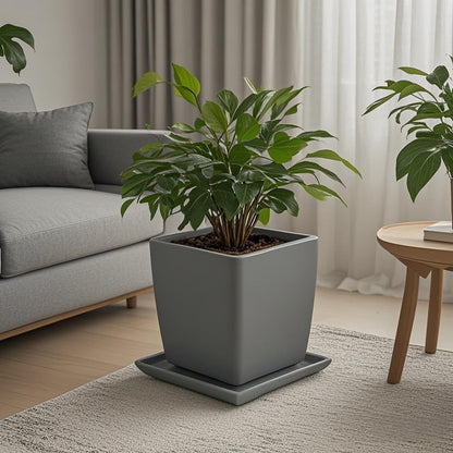 Square Plant Saucer 10 Inch 1 Pack，Plant Trays for Pots, Gray Ceramic Plant Saucers for Indoors Outdoors, Plant Drip Tray 4 6 8 10 12 14 Inch