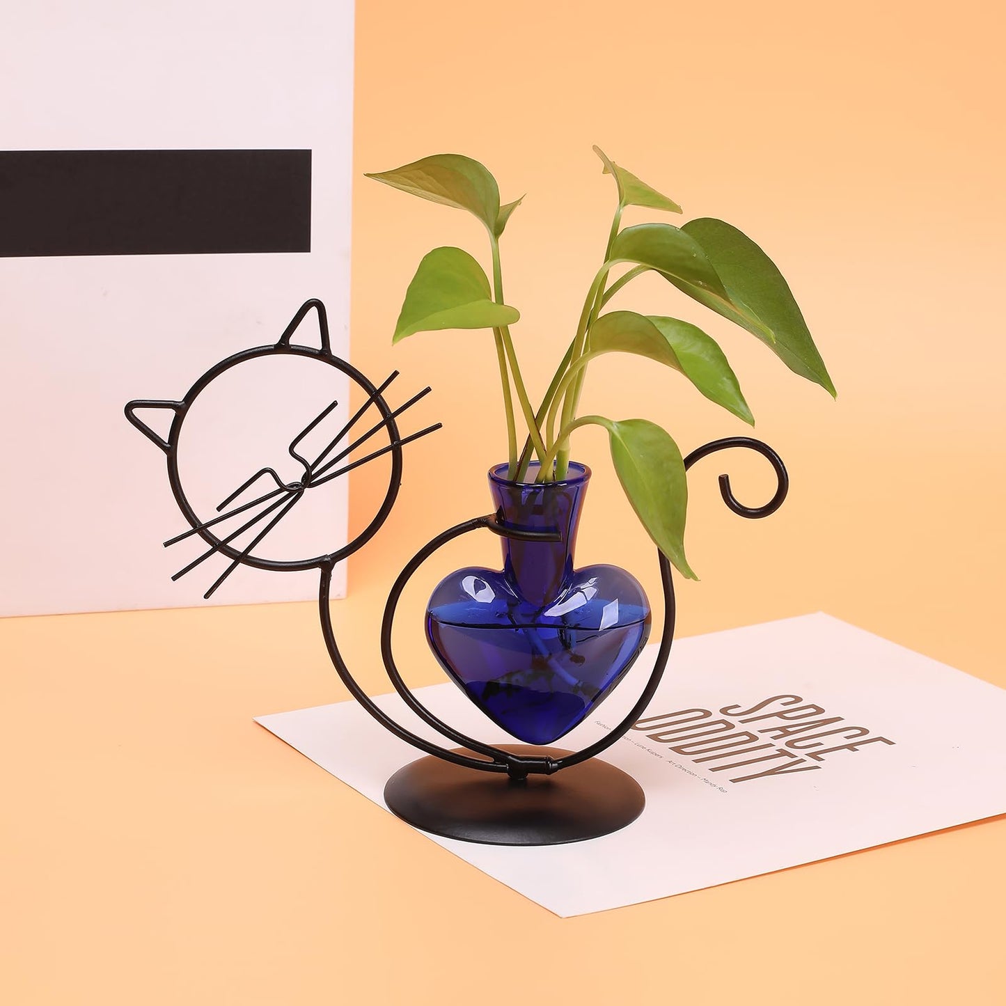 Plant Terrarium Plants Propagation Station Cat Lover Gifts for Women Home Office Decor Cat Desk Accessories