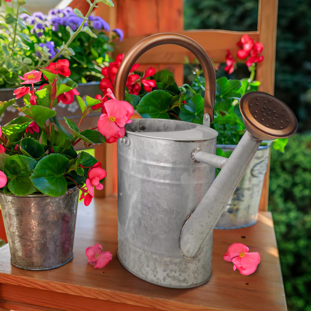 Megawodar 1 Gallon Metal Watering Can with Removable Spout, Nice Galvanized Steel Water Can with Embossed Design for Indoor and Outdoor Plants