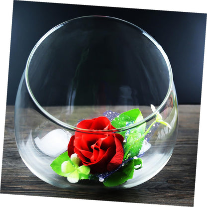 Toyvian Succulent Vase Set 3pcs Slant Cut Glass Ecological Bottles Micro Landscape Desktop Terrarium Containers for Home Office Decor