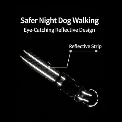 Dog Collar Leash Set, Gradient Color, with Safety Reflective Strips, 5 ft Matching Leash, Neoprene Padded Handle, Adjustable 4 Sizes for Small Medium Large Dogs.(XS, Lilac Pink)