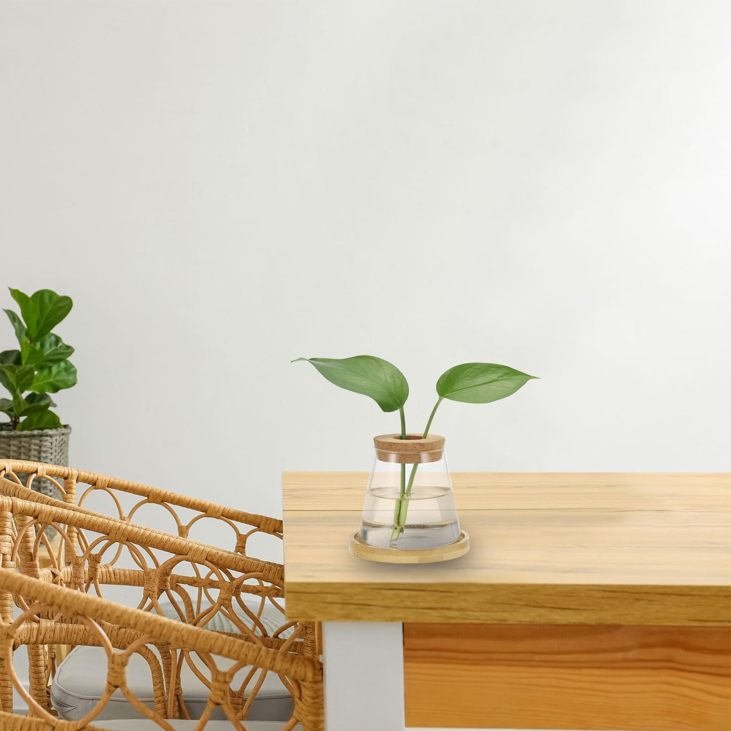 PATIKIL Plant Propagation Station Glass Vases, 2 Pcs Desktop Trapezoid Planter Terrarium Vase with Wooden Tray & Lid for Hydroponic Office Home Decor Plants Indoor, Brown
