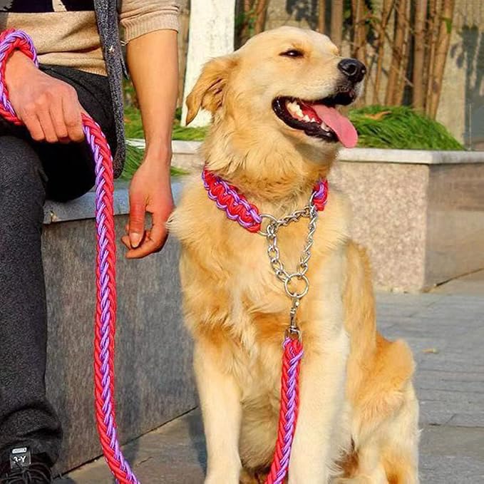 Love Dream Dog Collar and Leash Set, Heavy Duty Nylon Braided Rope Strong 4 FT Dog Leash and Martingale Training Collar for Small Medium Large Dogs Training and Walking (Purple)