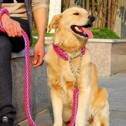 Love Dream Dog Collar and Leash Set, Heavy Duty Nylon Braided Rope Strong 4 FT Dog Leash and Martingale Training Collar for Small Medium Large Dogs Training and Walking (Red & Purple)