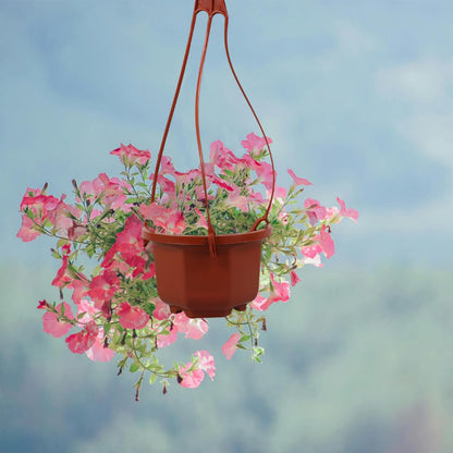 Mipcase 10 Pcs Hanging Planters for Indoor Plants: Plastic Plant Pots with Drainage & Hooks for Flowers Herbs Succulents- Hanging Baskets for Home Garden Decor, 11.79X3.85X2.36in (Dark Red)