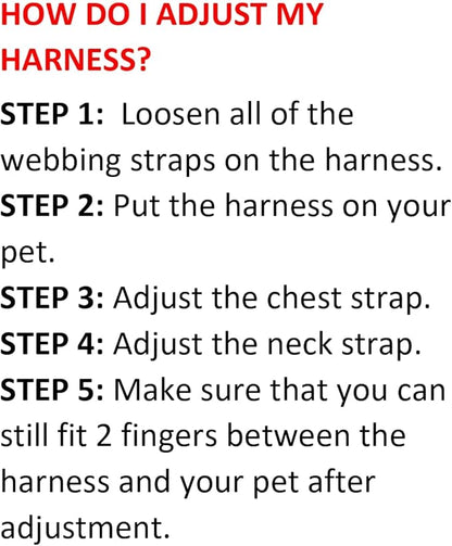 Best Pet Supplies Voyager Step-in Air All Weather Mesh Harness and Reflective Dog 5ft Leash Combo with Neoprene Handle, for Small, Medium and Large Breed Puppies - Blue, XX-Small