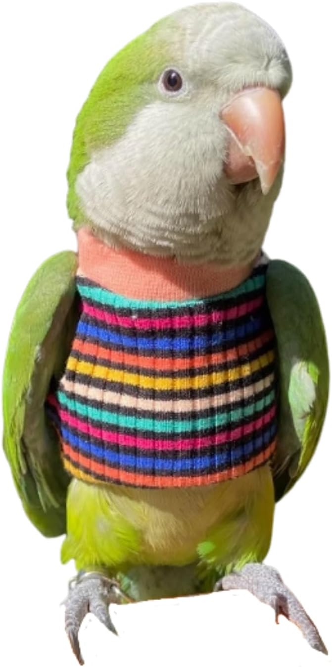 Bird Clothes - Handmade Cotton Stripe Shirt Round Collar Sweater Flight Suit for Parrots African Greys Parakeet Cockatiel Sun Conure Christmas Halloween (Without Diaper,XS)