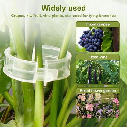 Plant Support Clips,100/150/300 PCS Plant Clips for Climbing Plants Clear for Tomato Grape,Garden Clip Plants Support Clip Garden Clips Vine Vegetables Fixing Clip (Green-100pcs)