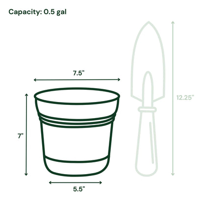 Bloem Saturn 7" Round Plastic Planter - Indoor/Outdoor, Snap-in Saucer & Drainage Holes, Black, 4-Pack