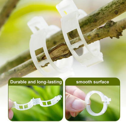 Mqacpu Secured Plastic Plant Clip, Plant Clips for Climbing Plants Clear for Tomato Grape, Plant Fixing Clips,Garden Clips for Climbing Plants,Grape and Vine Vegetables (100, Green)