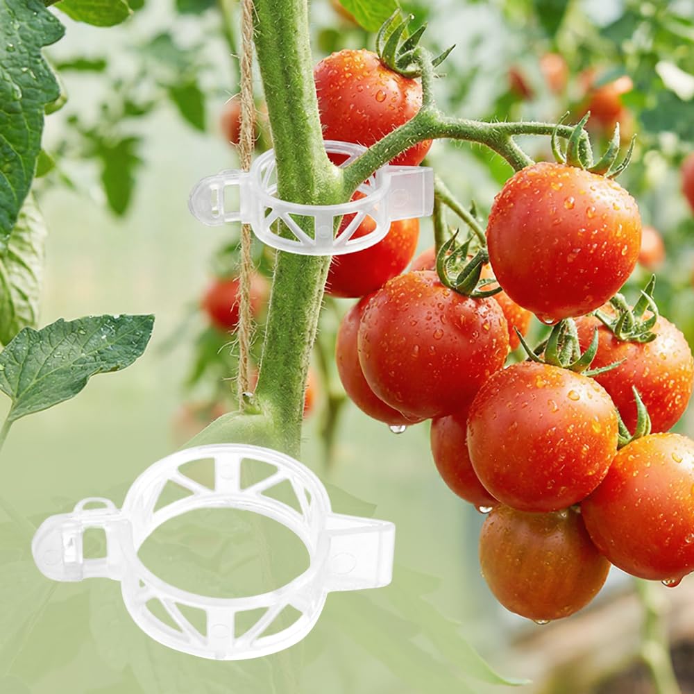 Juvhot 300Pcs Tomato Clips, 2026 New Plant Clips for Climbing Plants, Plant Support Clips, Grape Vine Tomato Vine Vegetables Plants Garden Support Clips to Grow Upright (100)