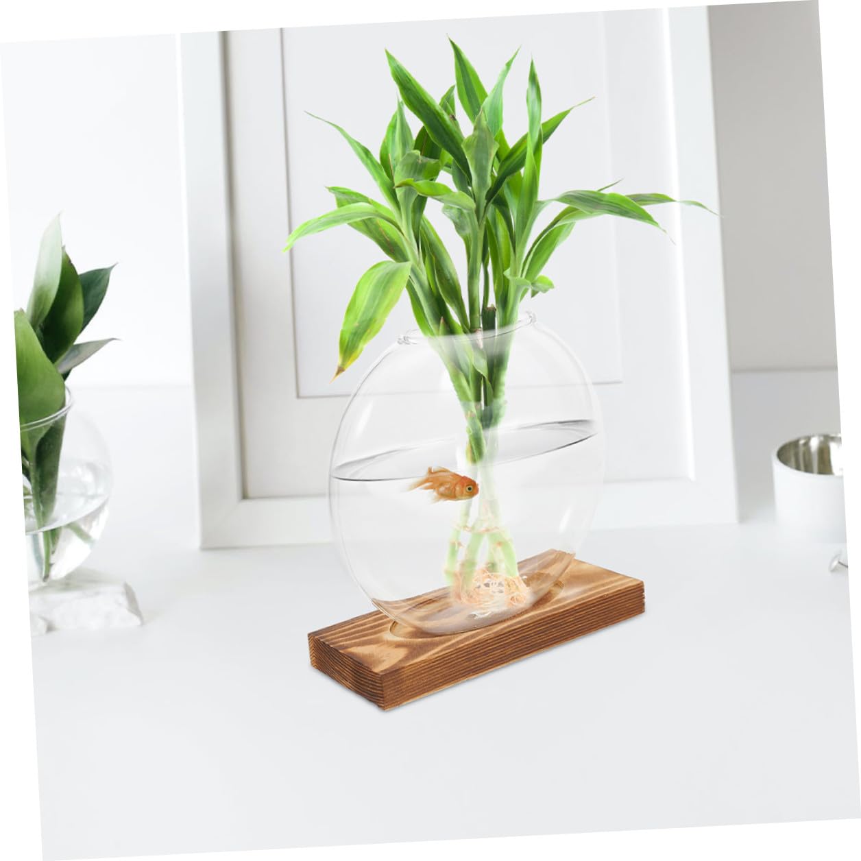 Artibetter 2pcs Hydroponic Glass Vase with Wooden Base, Hydroponic Plants Planter for Indoor Propagation, Home and Office Plant Terrarium Station