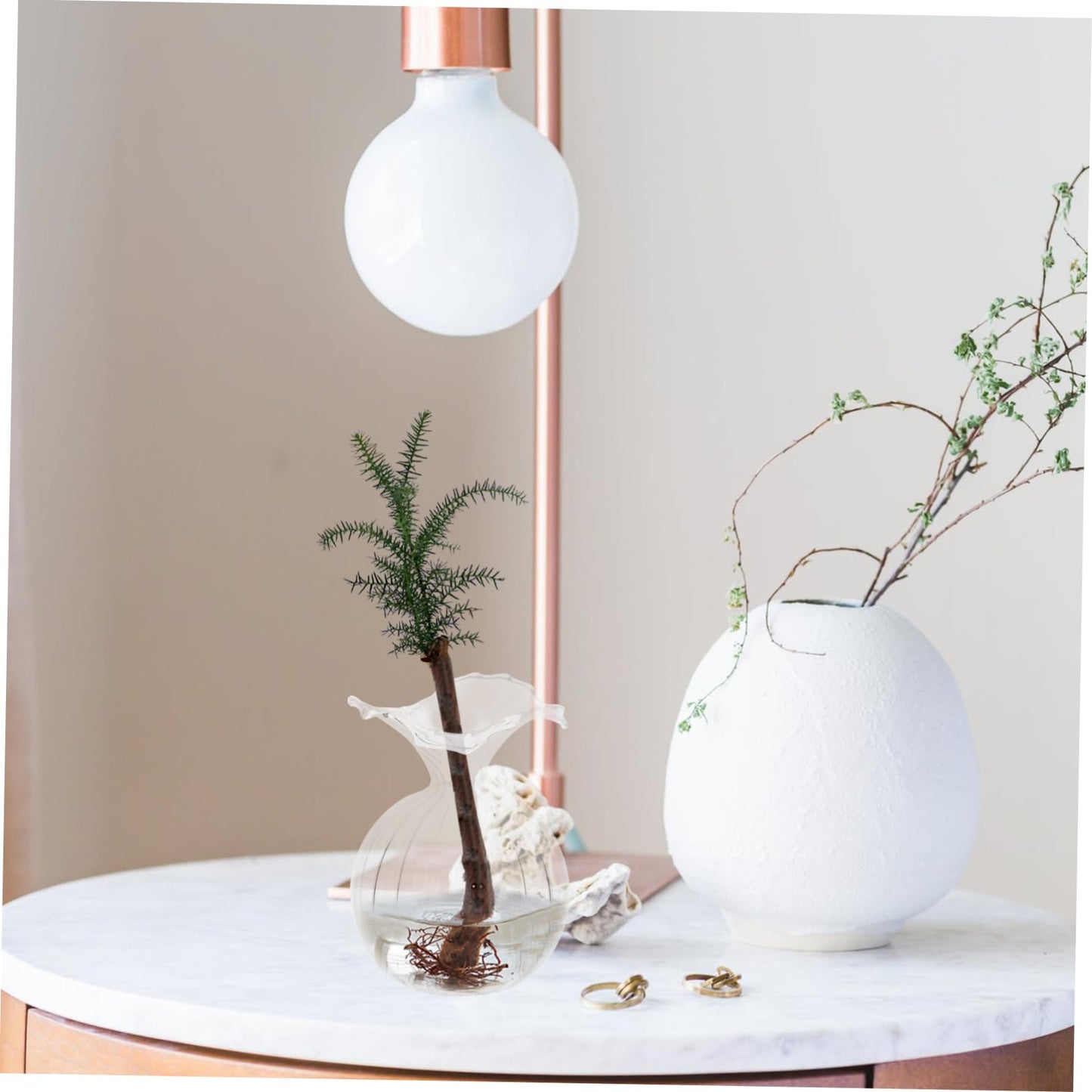 Garneck Clear Glass Hydroponic Vase for Desktop with Stable Design Creative Shape Decorative Terrarium Container for Plants Suitable for Home Office Balcony