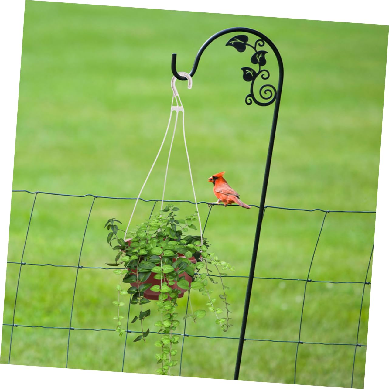 Garneck 20pcs Hanging Flower Pot Hangers Hooks for Indoor and Outdoor Use Stylish Planter Holder for Gardens Balconies and Living Rooms Elegant Design for Pothos and Plants