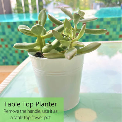 LaLaGreen Bundle - 6" x 10 Pack + 4" x 10 Pack White Metal Iron Hanging Flower Pots Balcony Railing Herb Garden Bucket Fence Planter for Outdoor Plants Flower Deck Rail Porch Window Box Hooks
