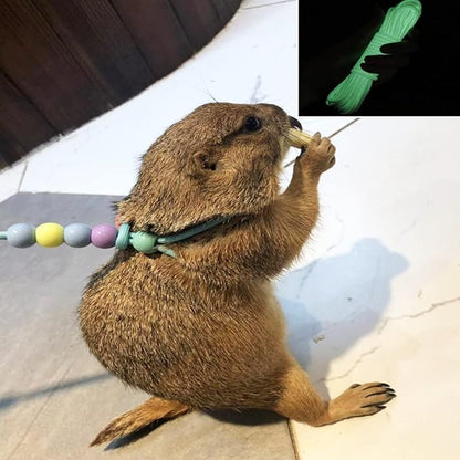 1 Pcs Adjustable Lizard Harness Walking Harness Bearded Dragon Leash Reptile Dragon Leash Harness Lead for Small Animal Hamster Reptiles