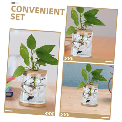 Cabilock 6Pcs Cork Lids for Hydroponic Vases Sustainable Transparent Glass Stoppers for Terrarium and Plant Propagation for Indoor Home Decor Elegant Micro Landscape Display