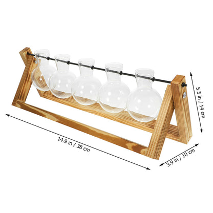 BEBEMOKO Glass Plant Propagation Station with 5 Hydroponic Vases and Wooden Stand, Glass Flower Vase Set for Desktop Indoor Plant Terrarium and Home Décor