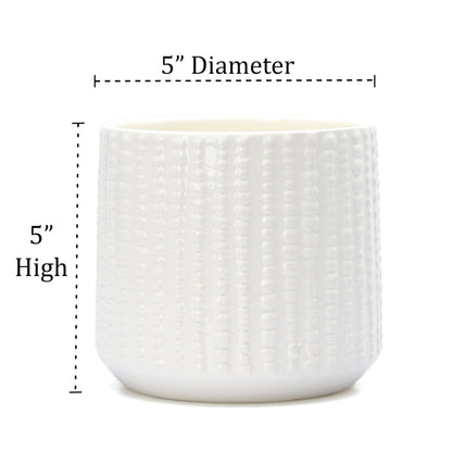 Arktiva Ceramic Planter Pot with Drainage Hole, 5 Inch Dia, Indoor and Outdoor, Home Patio Garden, Plants Flower Succulent, Textured Round (White)