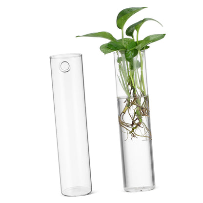 Zerodeko 2pcs Clear Glass Cylinder Wall Vases Sleek Hanging Glass Planters for Hydroponic Terrarium Plants Transparent Wall Mounted Floral Holders with Streamlined Design for Home and