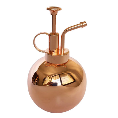 Lianshi Stainless Steel Plant Sprayer, Small Watering Can Plant Misting Bottle, Modern Gardening Tools for Indoor Potted Plants Watering and Misting