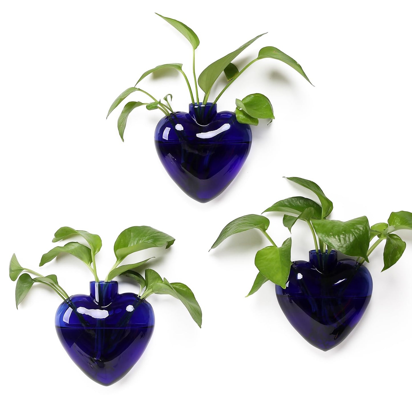 CYZglass Wall Hanging Planter Propagation Station for Indoor Plants Glass Vase Air Plant Holder Gift for Women Girlfriend Plant Lover