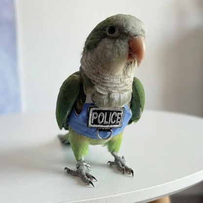 2 Pack Bird Flight Suit Vest, Adjustable Parrot Harness Clothes with Cute Design, Anti-Bite Outdoor Training Outfit for Parakeet, Cockatiel, Conure, Quaker, Budgie (M,Without Leash)