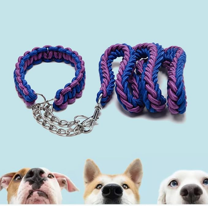 Love Dream Dog Collar and Leash Set, Heavy Duty Nylon Braided Rope Strong 4 FT Dog Leash and Martingale Training Collar for Small Medium Large Dogs Training and Walking (Blue & Purple)