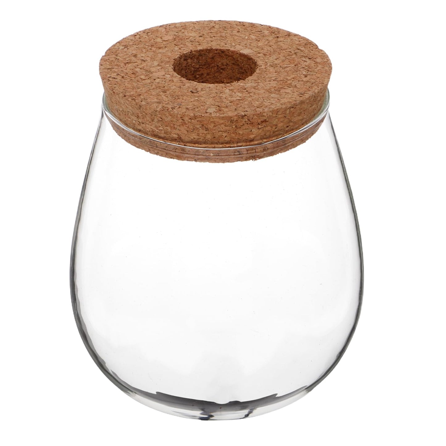 CIYODO Elegant Hydroponic Glass Vase for Indoor Plant Propagation Space Saving Terrarium for Home Decoration Minimal Maintenance Design for Plants