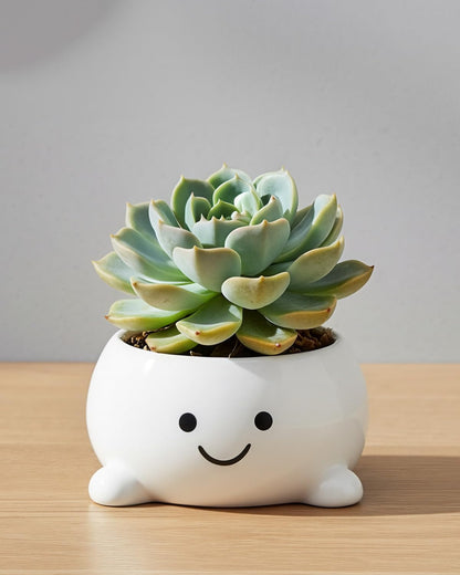 GaloTrek Smily Face Planter Pot Funny Toilet Plant Pots Cute Ceramic Flower Head Planters Succulent Pots for Indoor Outdoor Plants Unique Bathroom Planter with Drainage Hole