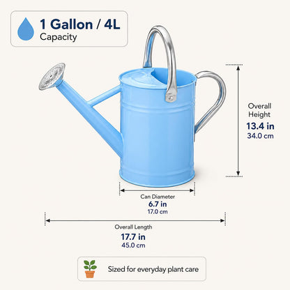 1 Gallon Metal Watering Can for Indoor Outdoor Plants, Galvanized Steel Watering Can with Removable Spout, 2 Stainless Steel Handles, Garden Flower Watering Pot