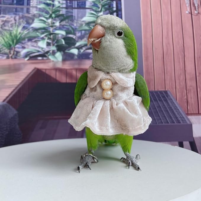 Bird Costume Bird Diaper Flight Suit Parrot Velvet Fleece Skirt Clothes Cosplay Photo Prop for Conure Lovebird Parakeet Cockatiel Macaw Small Animals Apparel (White,Small)