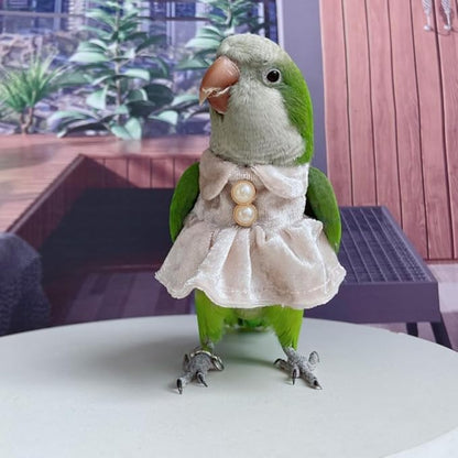 Bird Costume Bird Diaper Flight Suit Parrot Velvet Fleece Skirt Clothes Cosplay Photo Prop for Conure Lovebird Parakeet Cockatiel Macaw Small Animals Apparel (White,Small)