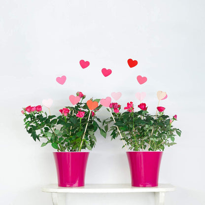DECOPOTS Pot for Plants | 7.7 Inch | Self Watering Red Plant Planter | Indoor Flower Pot | Plastic Flower Pots with Drainage for All House Plants, Flowers (Diameter 7.7", Menthol - White)