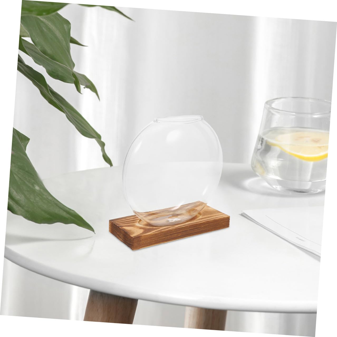 BESPORTBLE 2pcs Hydroponic Plant Propagation Vessels with Wooden Stand, Glass Containers for Home and Office, Plant Terrariums for Shelf Display and Indoor Gardening
