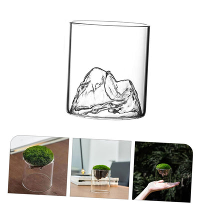 BESPORTBLE DIY Micro Landscape Glass Bottles 2 Pack Moss Plant Terrariums Elegant Decor for Home