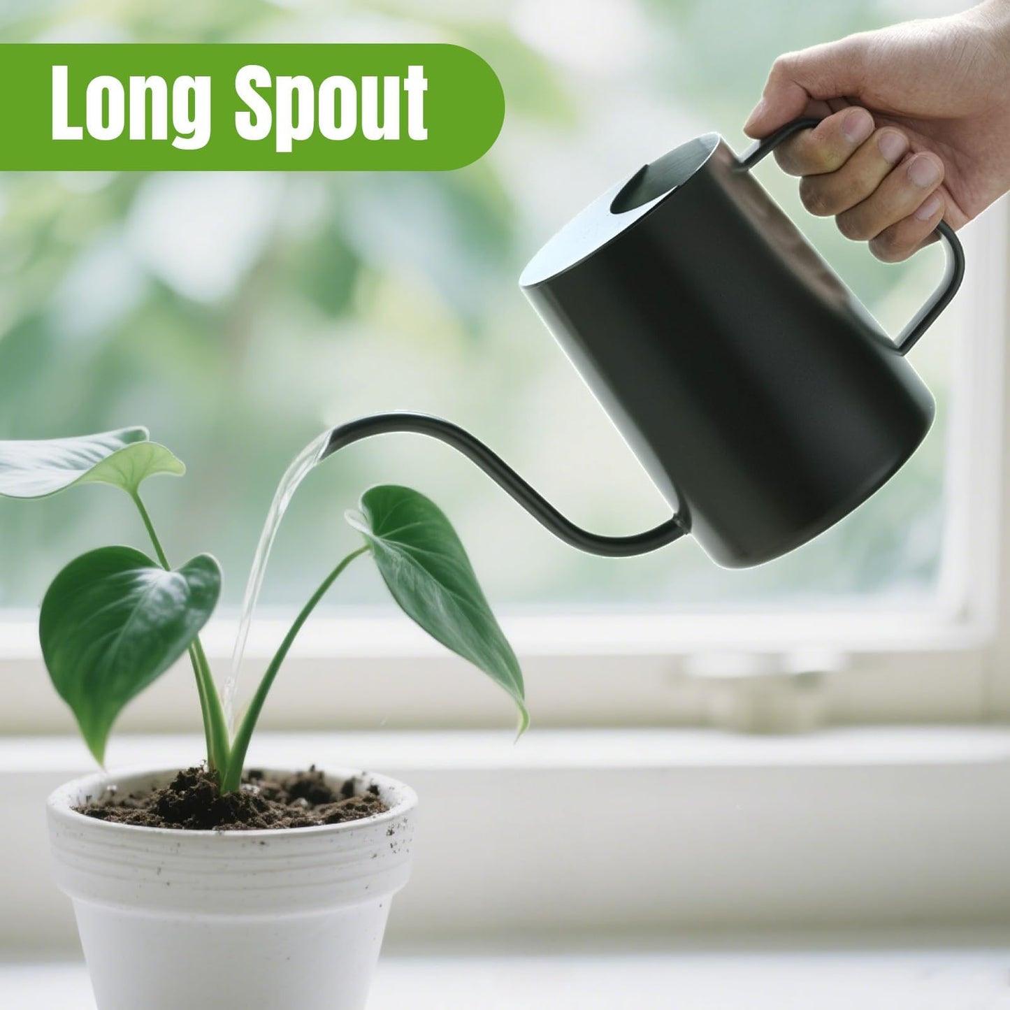 Lizhluzh 34 oz / 1000 ml Watering Can Indoor Plants, Stainless Steel Plant Watering Can with Long Spout (Black)