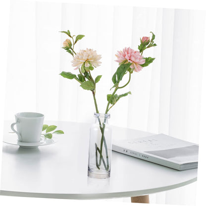 Cabilock Desktop Hydroponics Glass Planter Vase Stylish Terrarium for Home Decor Simple Design Small Bulb Container for Plant Lovers