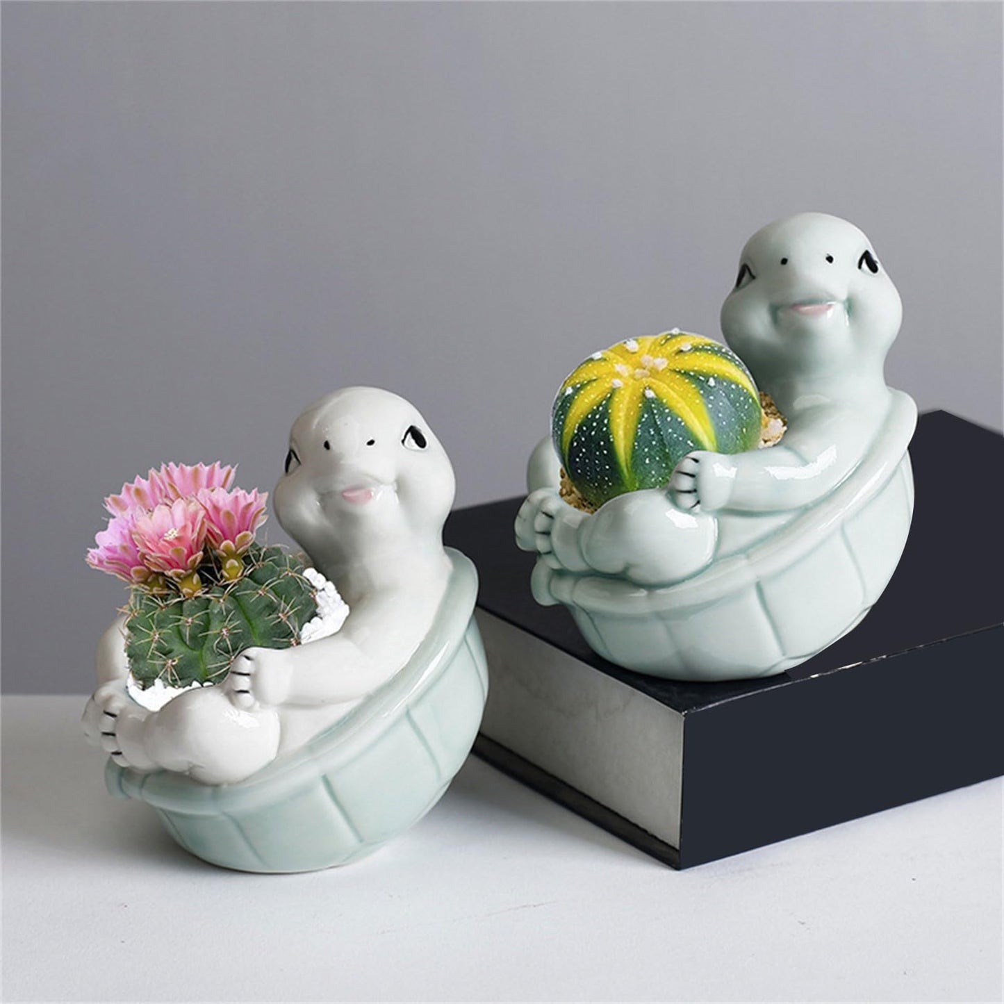 jiingekk Succulents Plant Pots Turtles Planter Flower Pots Planting Pots For Cactus Succulents Planter For Indoor Plant Indoor Plant Holder