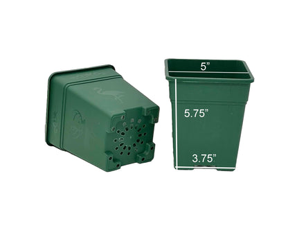 Cotta Planters Square Nursery Pot 0.5 Gallon 5 Inch Plastic Planters for Outdoor Indoor Plants 10-Pack with Drainage Holes Green
