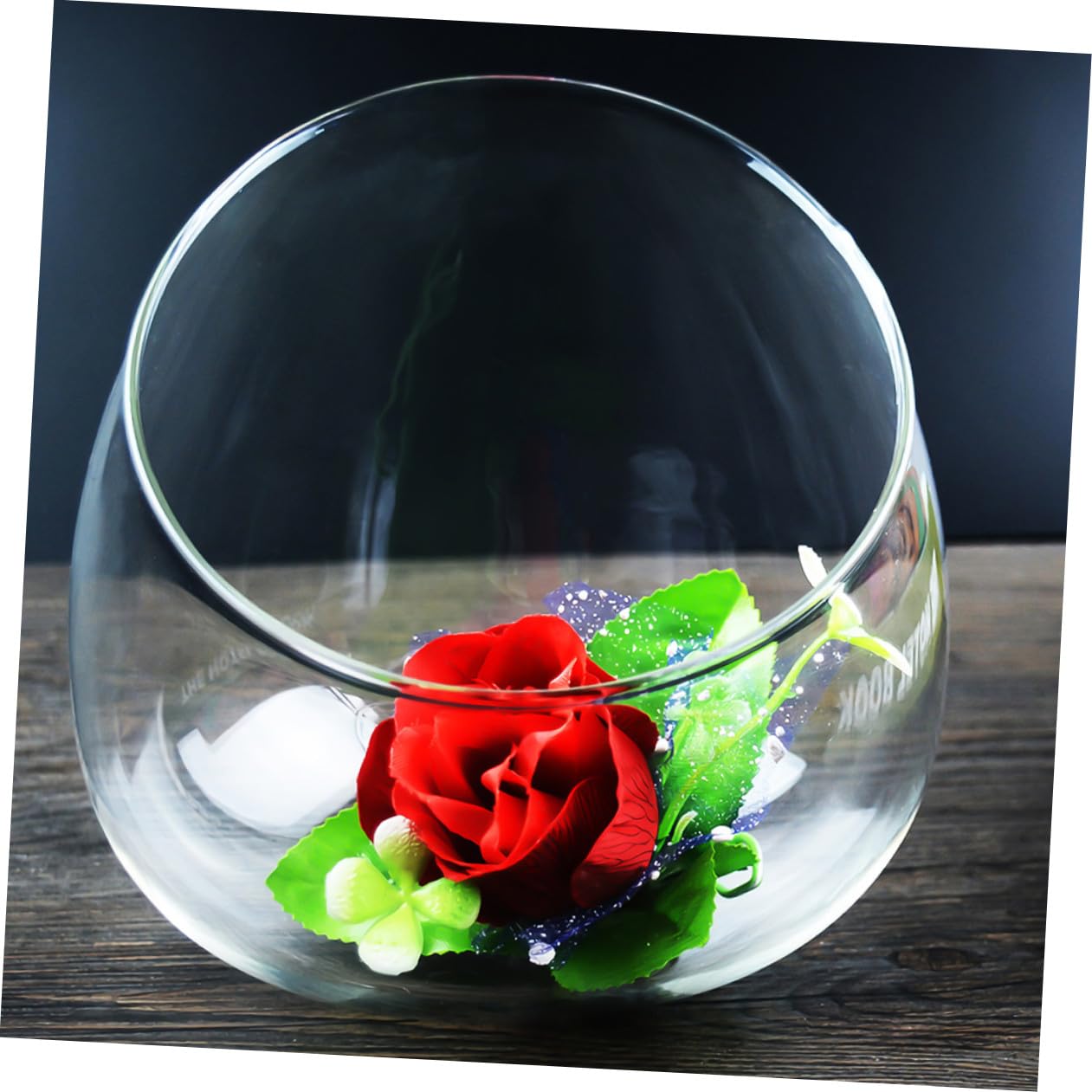 MAGICLULU 3pcs Slant Cut Glass Landscape Bottle Set, Eco Terrarium Vases for Desktop Decoration, Glass Containers for Succulent Plants and Miniature Gardens
