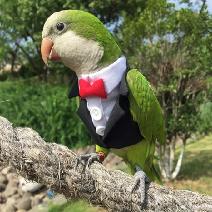 Bird Clothes Birds Flight Suit,Tuxedo Business Suit for Parrots African Greys Parakeet Cockatiel Sun Conure Christmas Party Birthday Cosplay Photo Prop Small Animals Apparel (3XL,Black Suit)