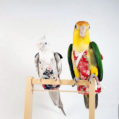Bird Flight Suits Diapers, Parrot Flight Suits Diapers for Monk Parakeets, Cockatiels Flight Suits, Parrot Clothes, Bird Training Nappy Suit Liners Clothes (Small,Black)