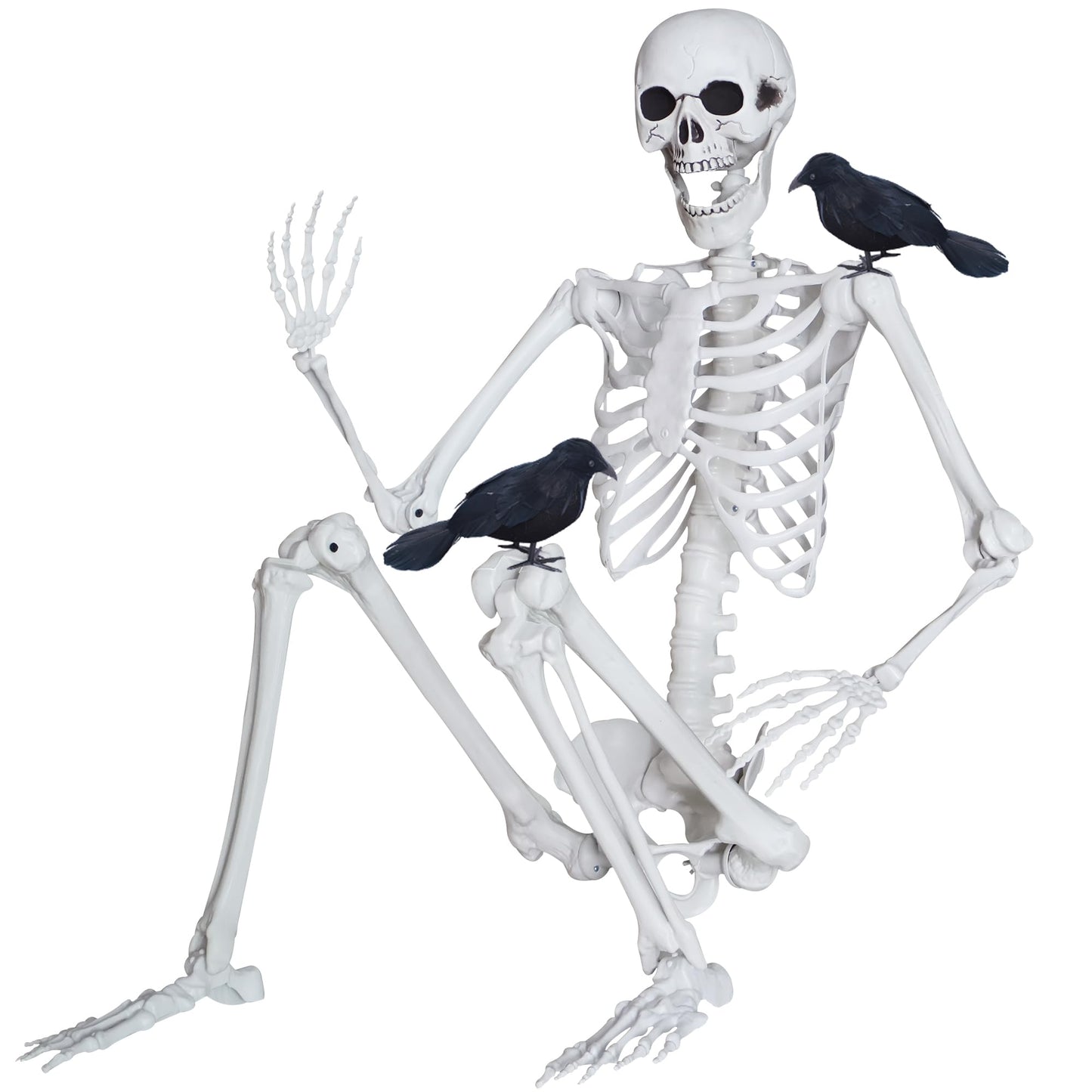 LOSFOTBO 5.4ft/165cm Halloween Skeleton with Realistic Crows Full Body Plastic Human Bones with Movable Joints for Indoor Outdoor Halloween Decor