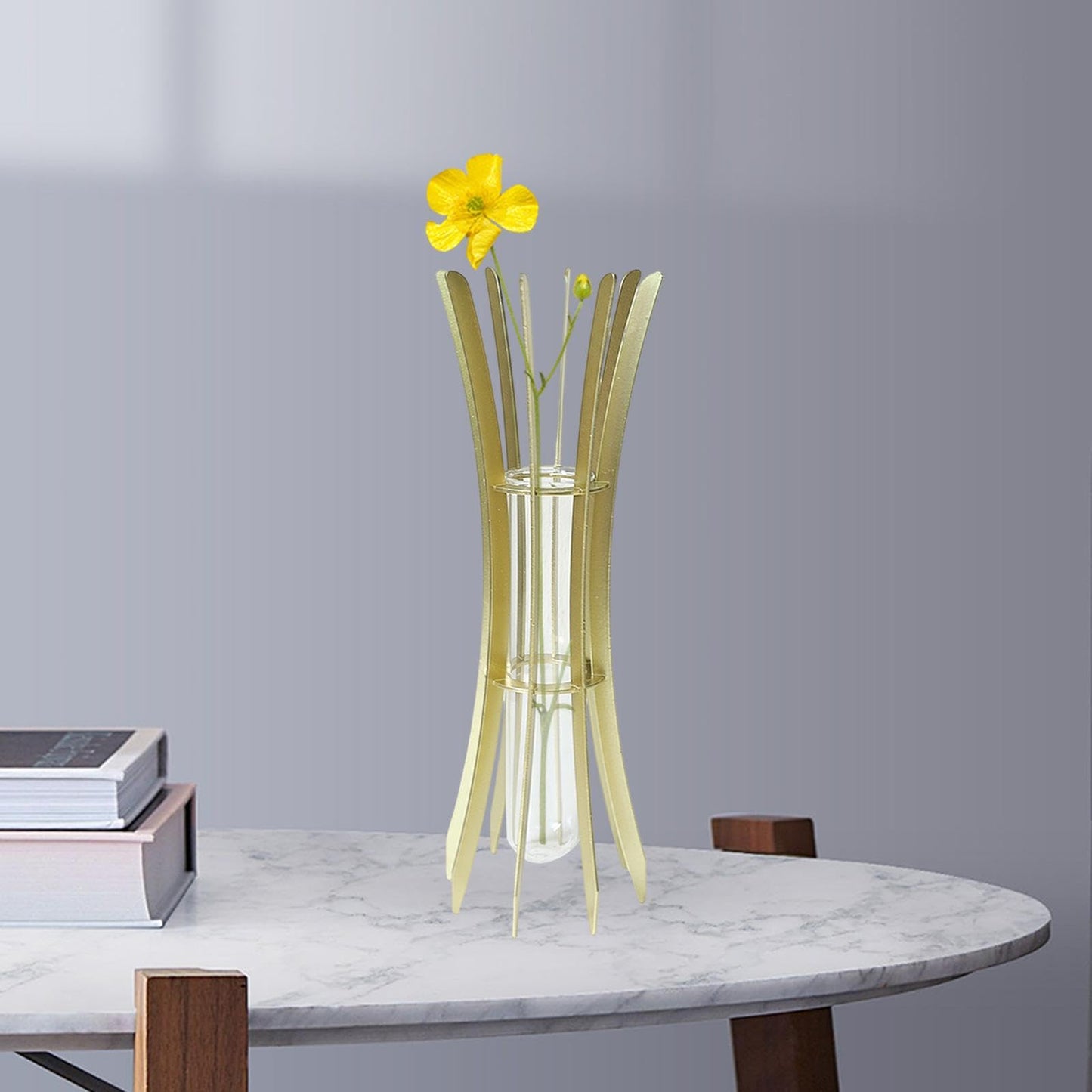 Gcljlmy Hydroponic Plant Glass Tube Flower Vase Desktop Decoration Sturdy Decorative for Plant Propagating Terrariums (Golden 8x8x24cm)
