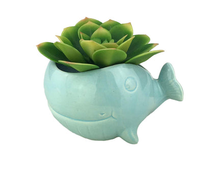 VanEnjoy 5" Ocean Blue Whale Ceramic Succulent Pot, Medium (3.86 x 4.64 x 2.87 inches), Indoor Use